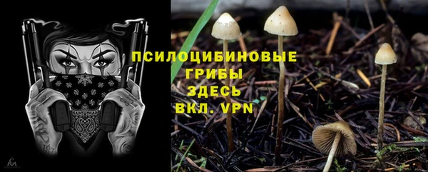 прущая мука Корсаков